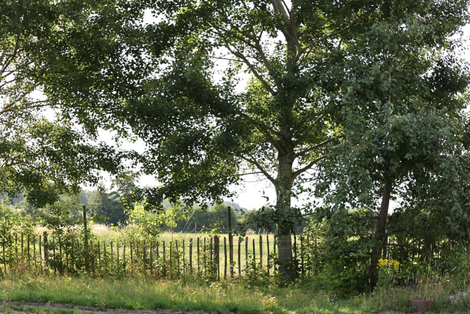 Apartmán Bed Met Paard Bergen op Zoom Exteriér fotografie